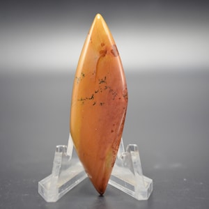 May include: A teardrop-shaped, polished stone cabochon with a reddish-brown and yellow color. The stone has a unique pattern of dark brown and black markings throughout.