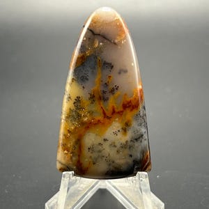 May include: A teardrop-shaped agate cabochon with a unique pattern of brown, white, and gray dendrites. The stone is polished and has a smooth surface.