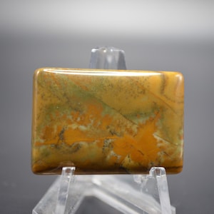 Owyhee picture jasper cabochon