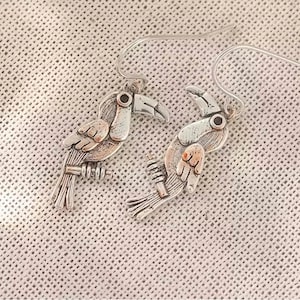 Rustic Toucan Hook Earrings, Silver - - LadybugfeetDesigns -