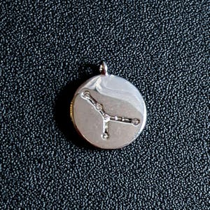 Zodiac Constellation Necklace, Silver - 12-24 inch - - LadybugfeetDesigns -