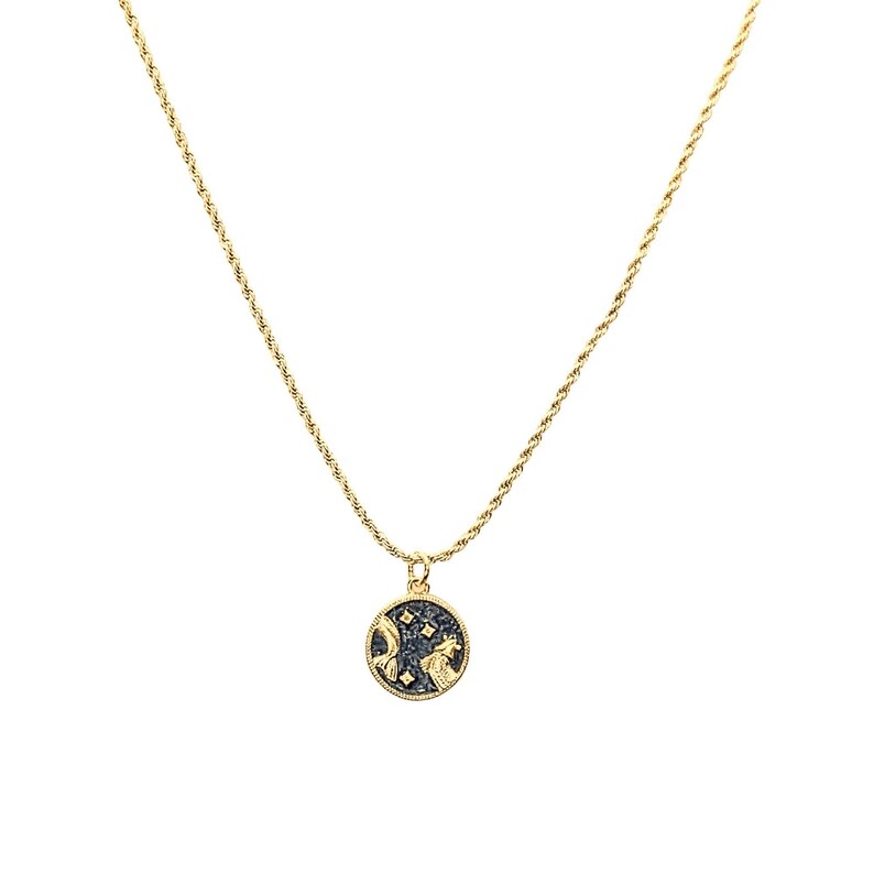 Blue Enamel Zodiac Pendant Necklace, Gold - 20 inches - - LadybugfeetDesigns -