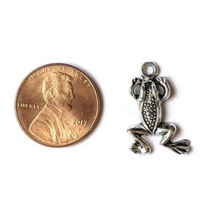 Silver Frog Charm - - LadybugfeetDesigns -