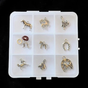 Horse Lover Charm Box - 9 pc., Silver - - LadybugfeetDesigns -