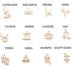 Zodiac Symbol Necklace, Rose Gold - 17 inches - - LadybugfeetDesigns -