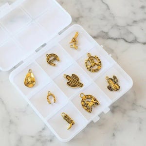 Wild West Themed Charm Box - 9 pc., Gold - - LadybugfeetDesigns -