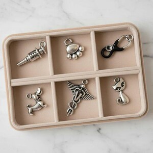 Veterinary Mini Charm Box - 6 pc., Silver - - LadybugfeetDesigns -
