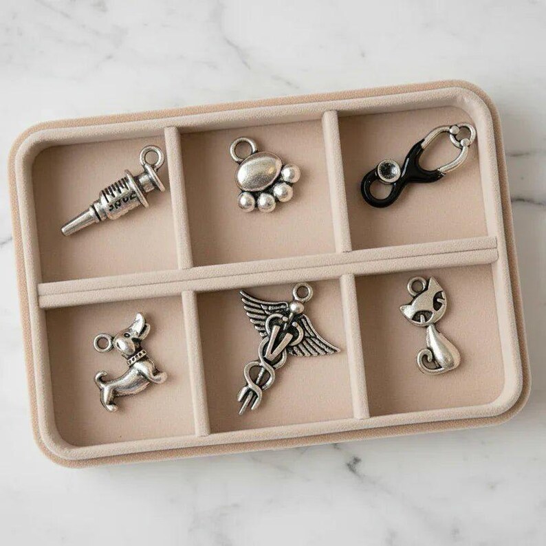 Veterinary Mini Charm Box - 6 pc., Silver - - LadybugfeetDesigns -