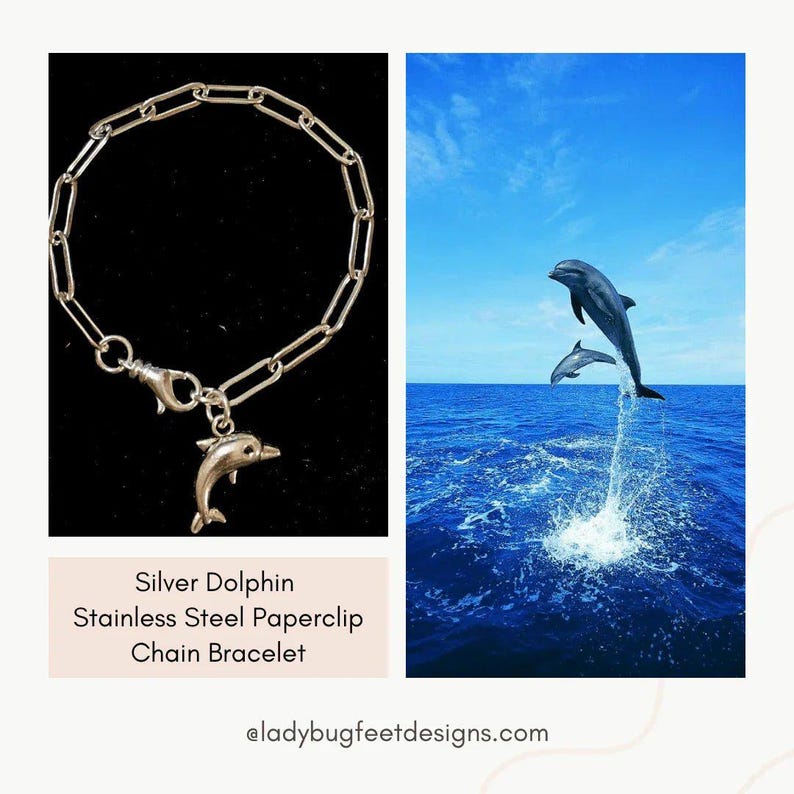 Dolphin Stainless Steel Paperclip Chain Bracelet, Silver - - LadybugfeetDesigns -