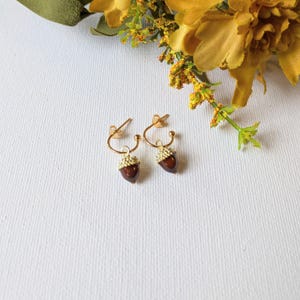 Acorn Hoop Earrings, Gold - 12mm - - LadybugfeetDesigns -