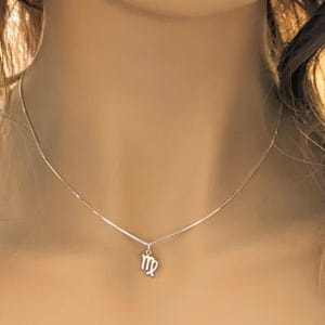 Zodiac Symbol Necklace, Sterling Silver - 12 - 24 inches - - LadybugfeetDesigns -