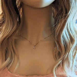 Zodiac Symbol Necklace, Rose Gold - 17 inches - - LadybugfeetDesigns -