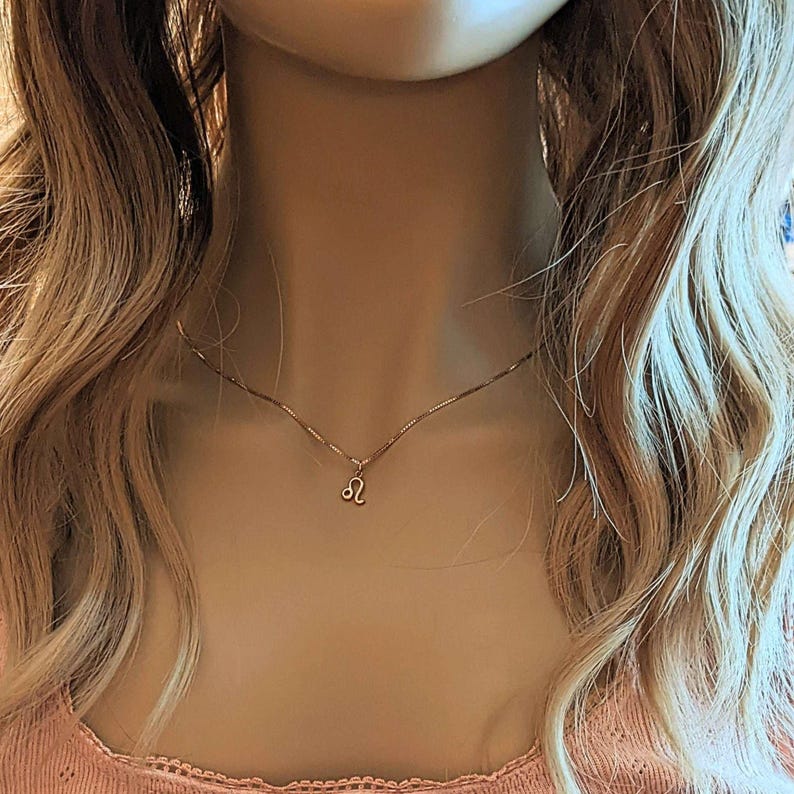 Zodiac Symbol Necklace, Rose Gold - 17 inches - - LadybugfeetDesigns -