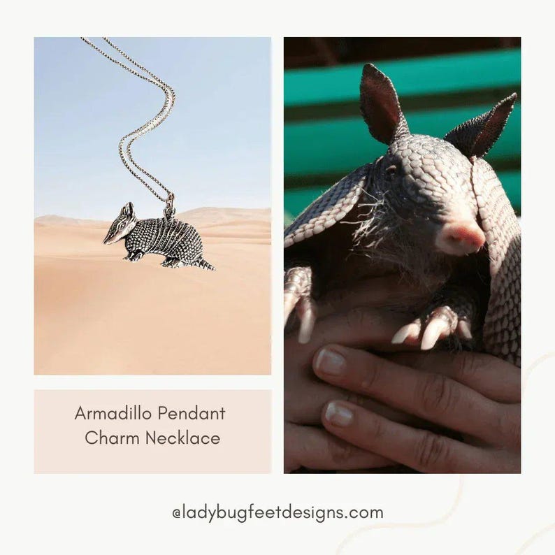 Armadillo Pendant charm necklace, Sterling Silver - 22 inch - - LadybugfeetDesigns -