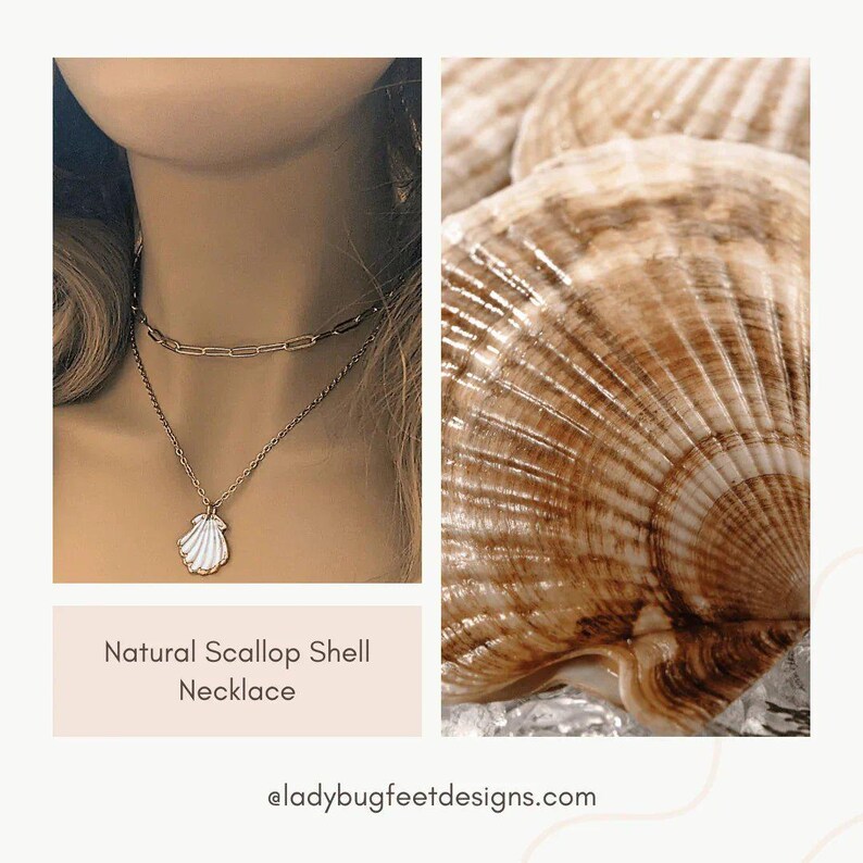 Natural Scallop Shell Necklace, Gold - 18- 24 inch - - LadybugfeetDesigns -