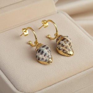 Gold Rimmed Natural Conch Seashell hoop earrings, Gold - 16mm - - LadybugfeetDesigns -