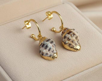 Gold Rimmed Natural Conch Seashell hoop earrings, Gold - 16mm