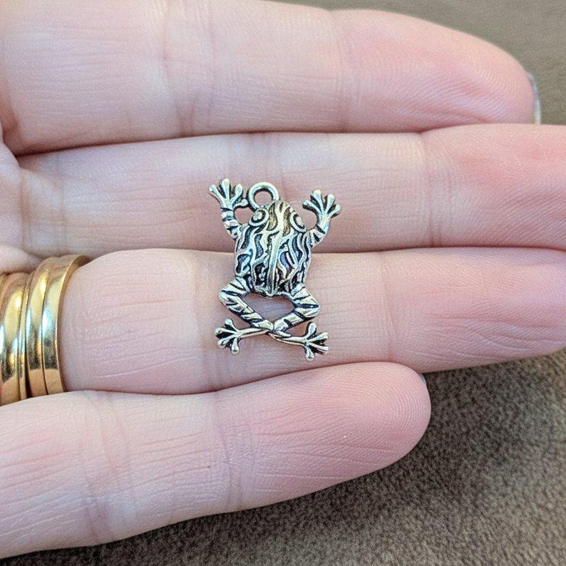 Fancy Rustic Frog Necklace, 20 inches - Silver - - LadybugfeetDesigns -