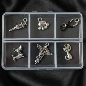 Veterinary Mini Charm Box - 6 pc., Silver - - LadybugfeetDesigns -