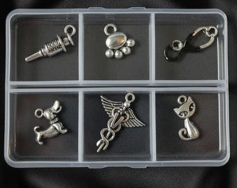 Veterinary Mini Charm Box - 6 pc., Silver