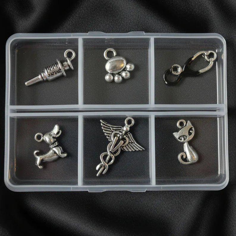 Veterinary Mini Charm Box - 6 pc., Silver - - LadybugfeetDesigns -