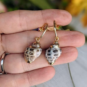 Gold Rimmed Natural Conch Seashell hoop earrings, Gold - 16mm - - LadybugfeetDesigns -
