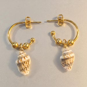 Genuine Conch Shell Hoop Earrings, Gold - 16mm - - LadybugfeetDesigns -