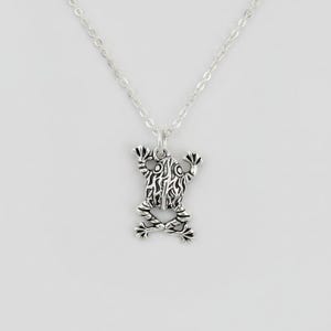Fancy Rustic Frog Necklace, 20 inches - Silver - - LadybugfeetDesigns -