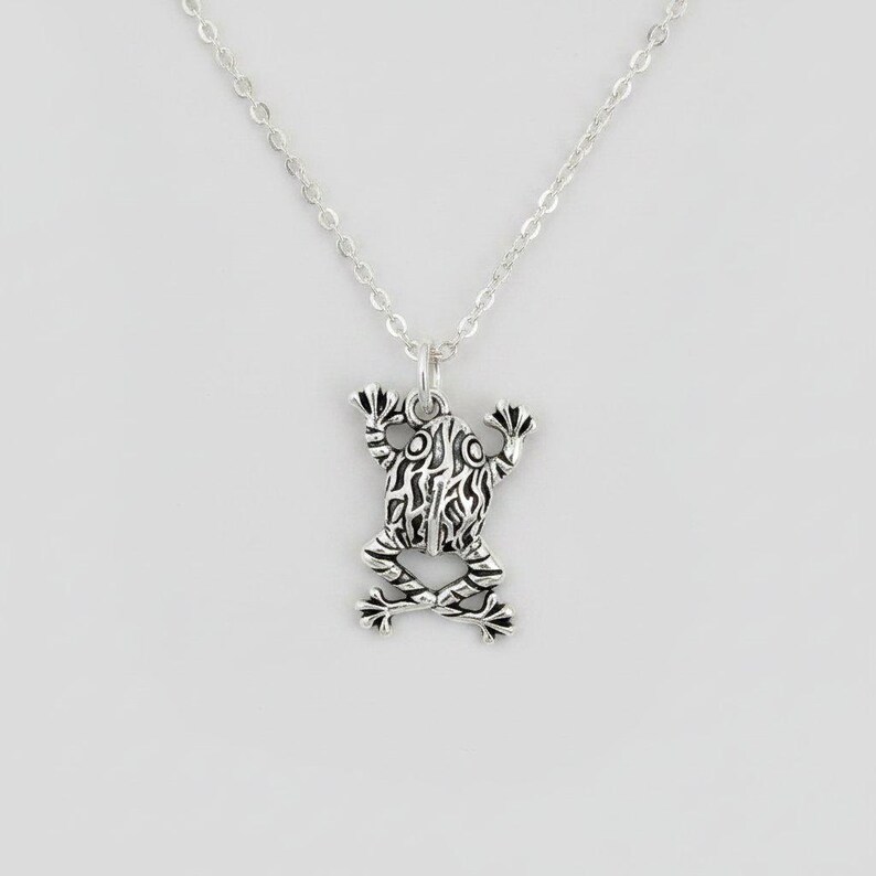Fancy Rustic Frog Necklace, 20 inches - Silver - - LadybugfeetDesigns -