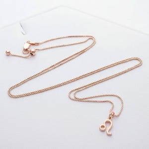 Zodiac Symbol Necklace, Rose Gold - 17 inches - - LadybugfeetDesigns -