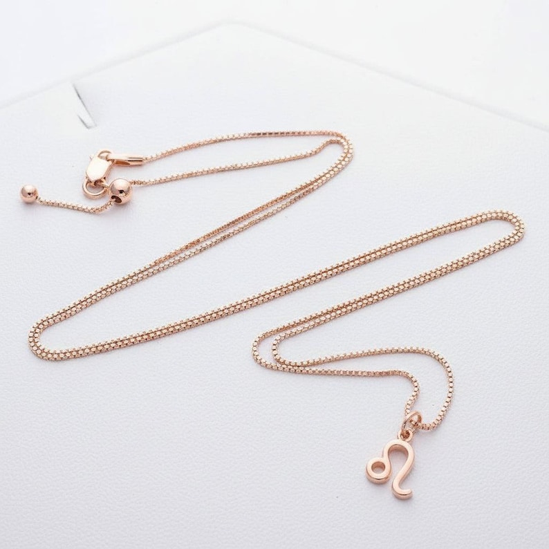 Zodiac Symbol Necklace, Rose Gold - 17 inches - - LadybugfeetDesigns -
