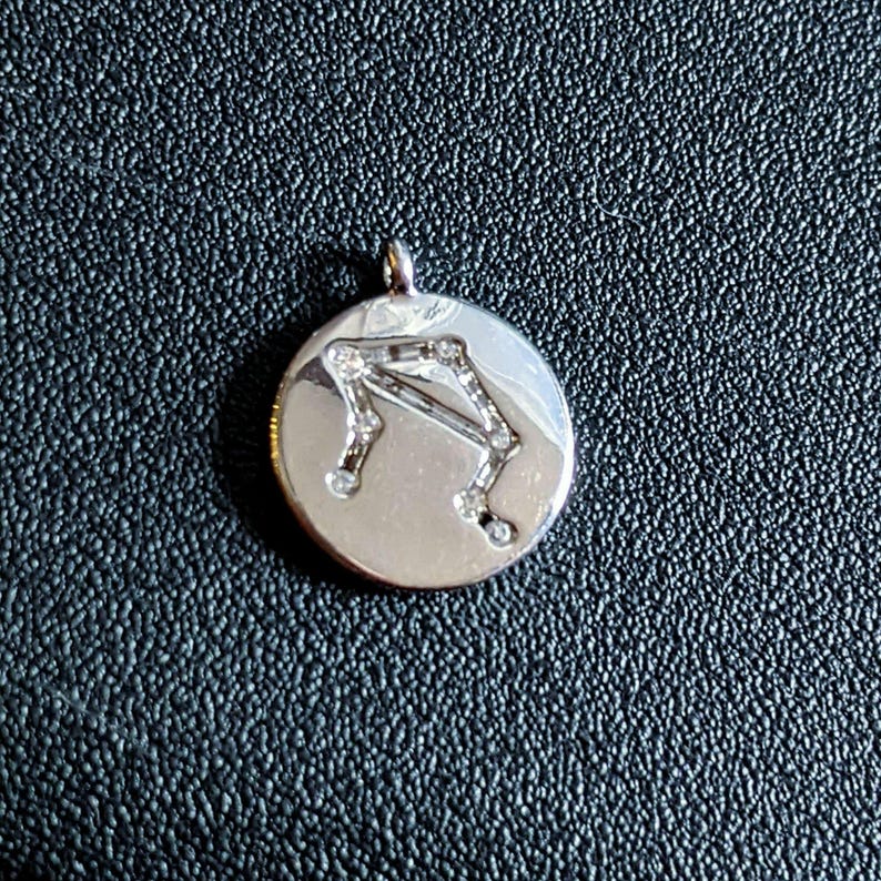 Zodiac Constellation Necklace, Silver - 12-24 inch - - LadybugfeetDesigns -