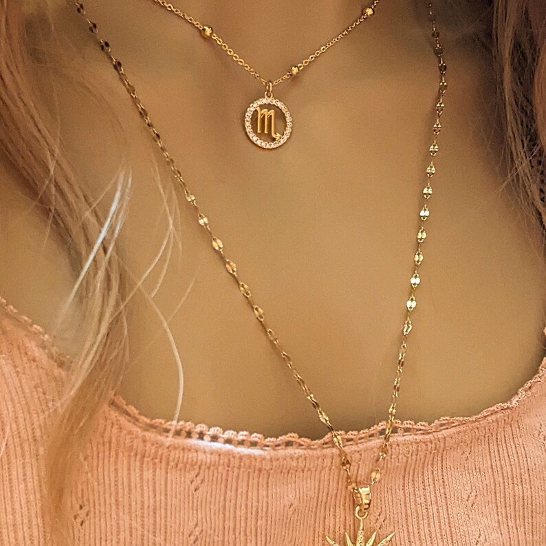 CZ Zodiac Symbol Necklace, Gold - 18 inch - - LadybugfeetDesigns -