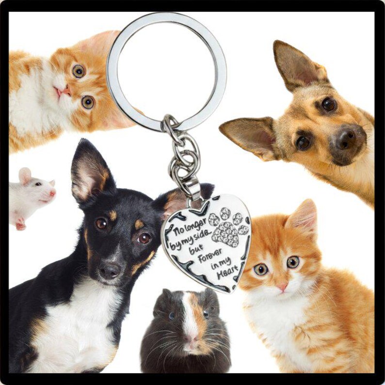 Pet Bereavement Heart Key Chain, Key Holder - - LadybugfeetDesigns -