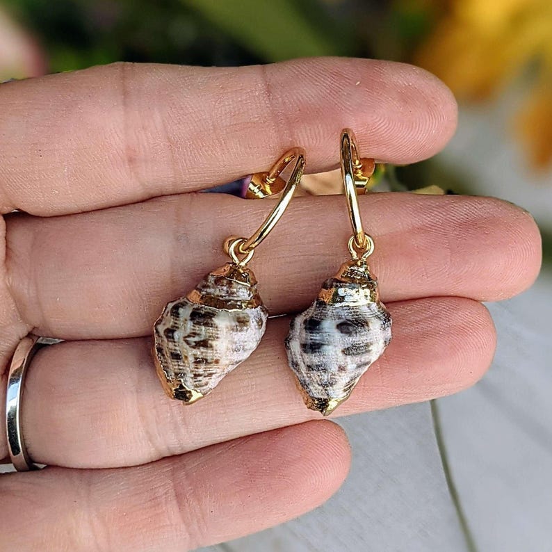 Gold Rimmed Natural Conch Seashell gold hoop earrings, Hoop Drop, 16mm - - LadybugfeetDesigns -