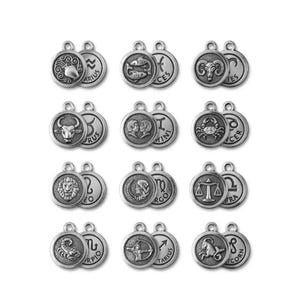 Double Sided Zodiac Coin Necklace, Silver - 24 inch - - LadybugfeetDesigns -