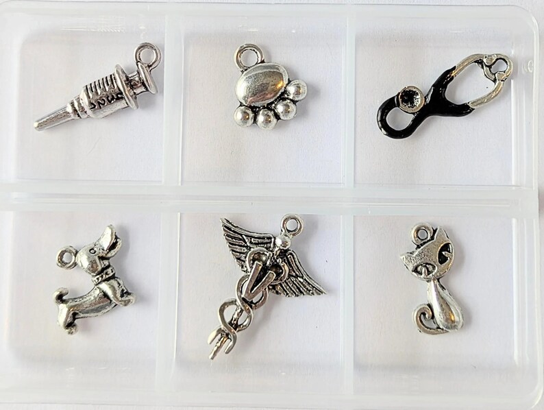 Veterinary Mini Charm Box - 6 pc., Silver - - LadybugfeetDesigns -