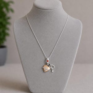 Medical Care-Giver Necklace, 20 inches - Silver - - LadybugfeetDesigns -