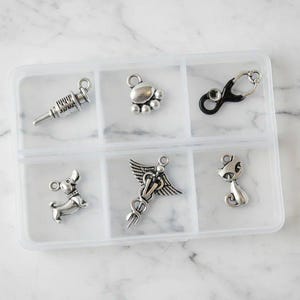 Veterinary Mini Charm Box - 6 pc., Silver - - LadybugfeetDesigns -