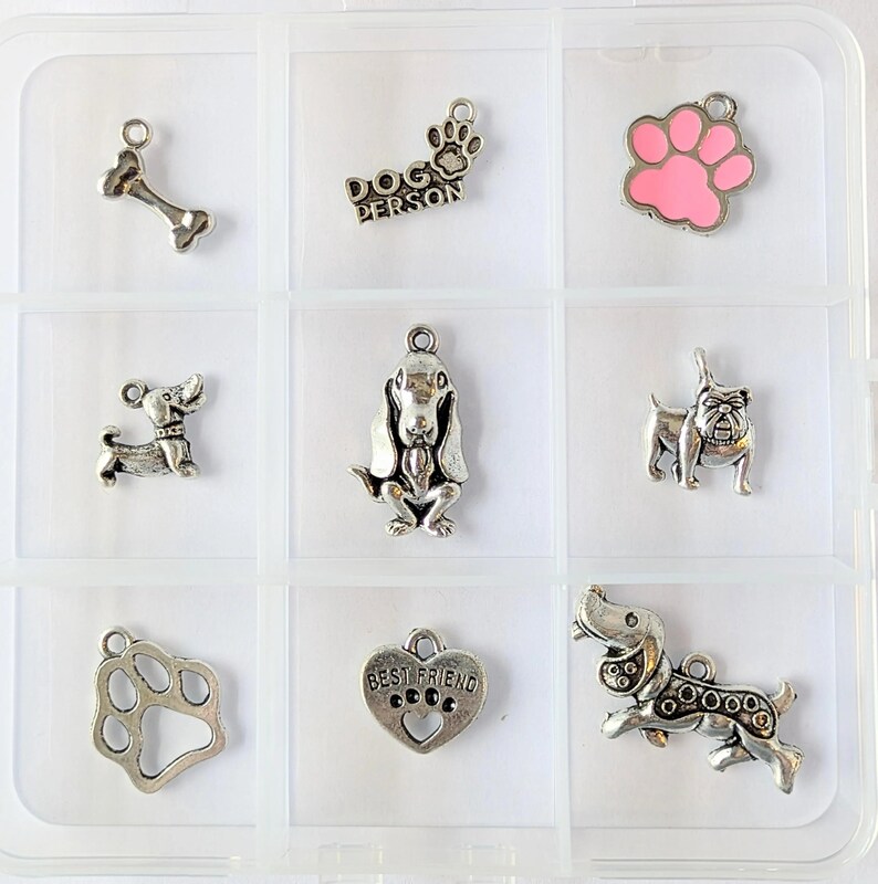 Dog Person Charm Box - 9 pc., Silver - - LadybugfeetDesigns -