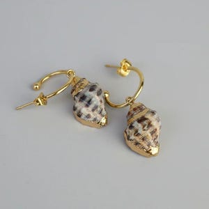 Gold Rimmed Natural Conch Seashell hoop earrings, Gold - 16mm - - LadybugfeetDesigns -