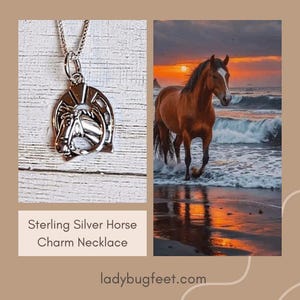 Horse Pendant charm necklace, Sterling Silver - 22 inch - - LadybugfeetDesigns -