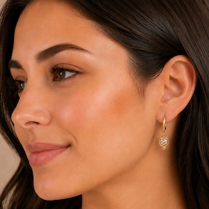 CZ Owl Hoop earrings, Gold -12mm - - LadybugfeetDesigns -