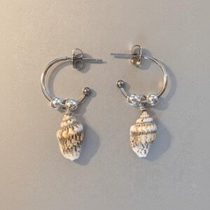 Genuine Conch Shell Hoop Earrings, Silver - 16mm - - LadybugfeetDesigns -