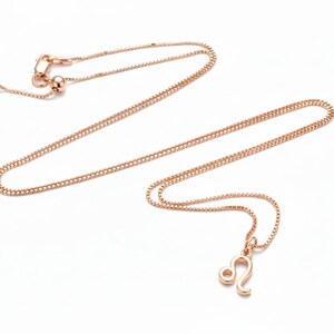 Zodiac Symbol Necklace, Rose Gold - 17 inches - - LadybugfeetDesigns -