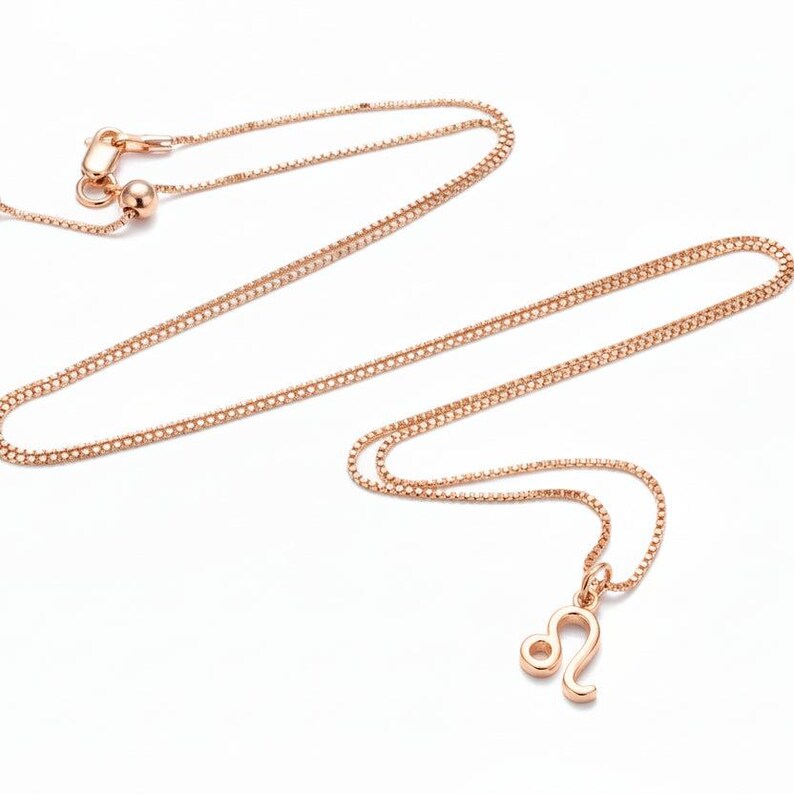 Zodiac Symbol Necklace, Rose Gold - 17 inches - - LadybugfeetDesigns -