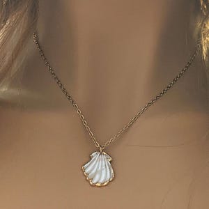 Natural Scallop Shell Necklace, Gold - 18- 24 inch - - LadybugfeetDesigns -