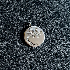 Zodiac Constellation Necklace, Silver - 12-24 inch - - LadybugfeetDesigns -