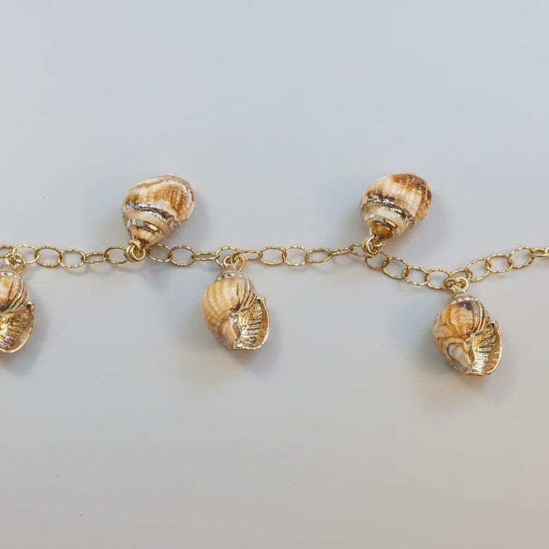 Chunky Conch Shell Charm Bracelet, Gold - - LadybugfeetDesigns -