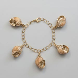 Chunky Conch Shell Charm Bracelet, Gold - - LadybugfeetDesigns -